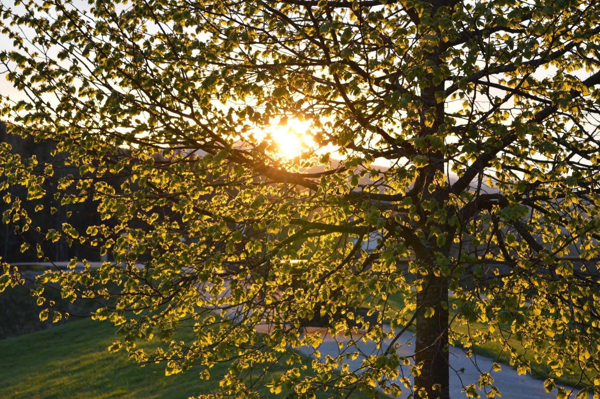 Wellness- Und Vitalhotel Boehmhof Боденмайс Екстер'єр фото